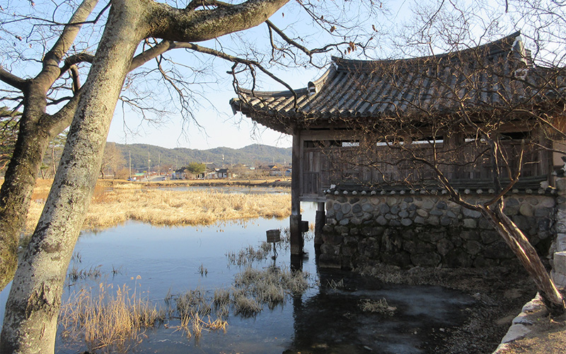 Card image shishirin