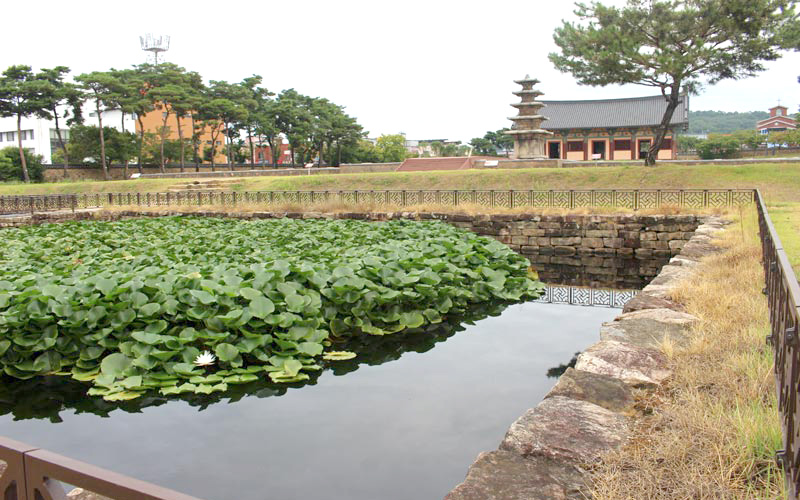 Card image korea