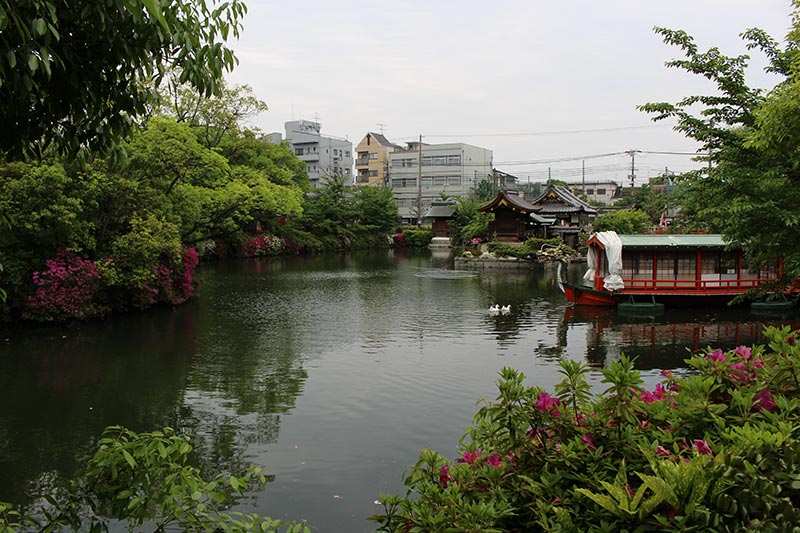 Card image shinsenen