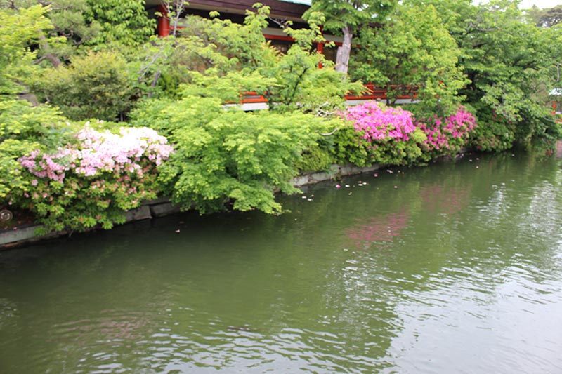 Card image shinsenen