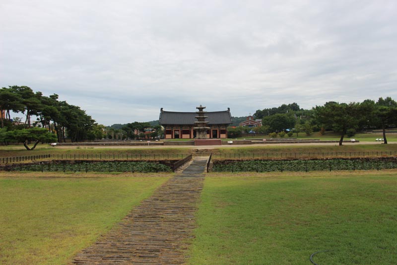 Card image terinji