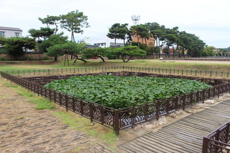Card image terinji