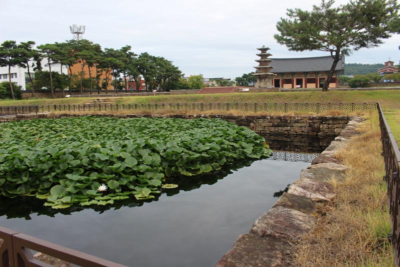 Card image terinji