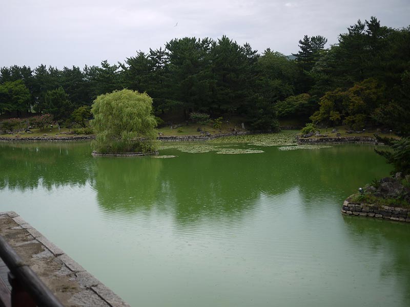 Card image ganochi