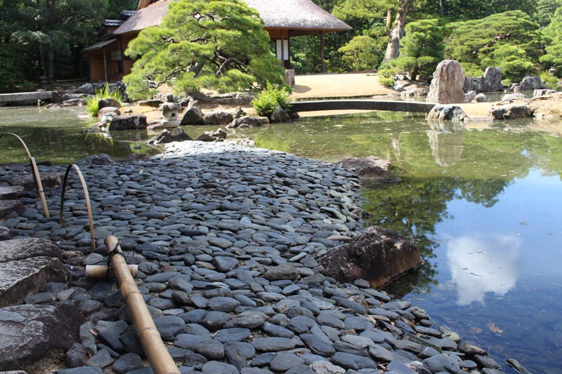 Card image katsurarikyu