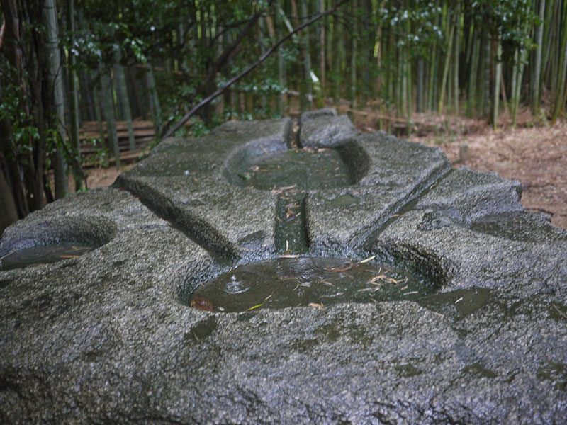 Card image asukanosekizobutsu