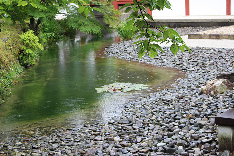 Card image byodoin