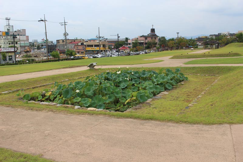 Card image kanhokuri