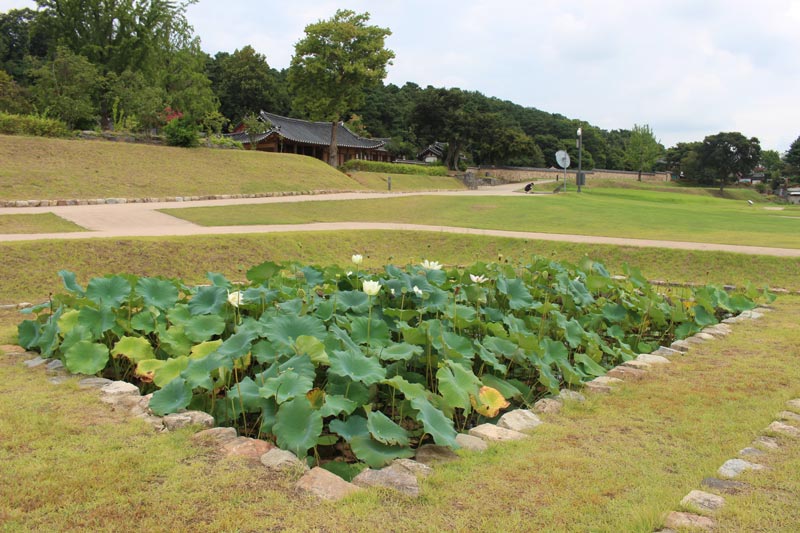 Card image kanhokuri